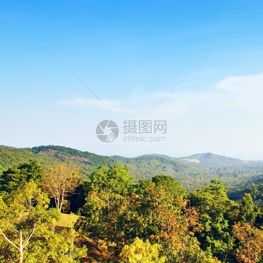 美丽的热带风景高角度视图泰国自然天绿色图片