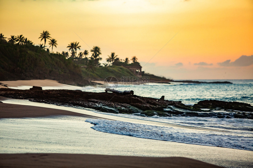 海滩的热带日落黎明有棕榈树海滩的热带日落波多黎各巴哈马采取图片