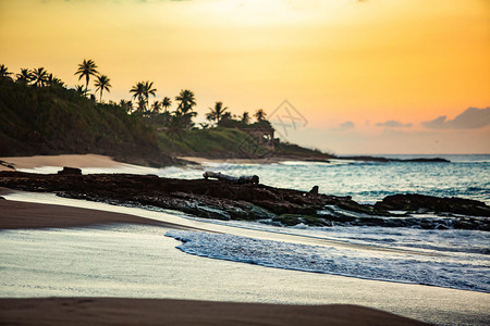 海滩的热带日落黎明有棕榈树海滩的热带日落波多黎各巴哈马采取图片