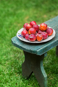 红色的李子在花园中一个盘子上用木制本底红色羽子素食主义者农业图片
