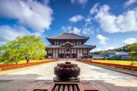 日本纳拉的东代寺庙蓝天地标自然关西背景图片