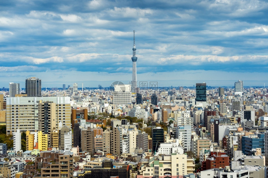 日本东京市风景全最佳天线夏图片