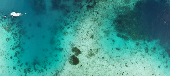 对多彩珊瑚礁的空中俯冲观察自然损坏的肮脏图片