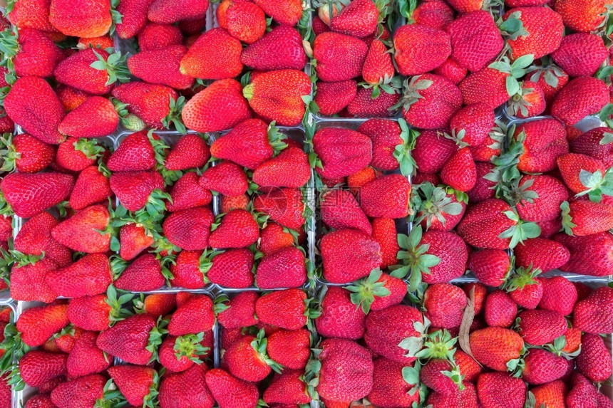 春天庄稼荷兰水果市场上装满红草莓的盒子图片