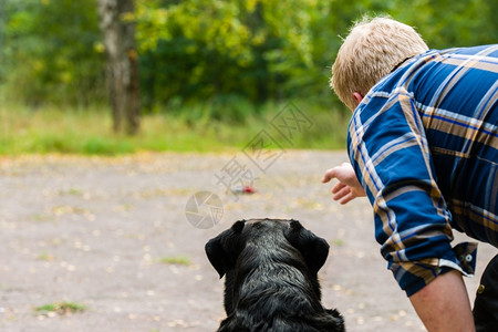 动物闲暇狗主人在户外用地平线格式训练他的拉布多检索器快乐的图片