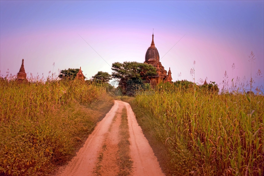 结构体自然缅甸巴甘Bagan农村古代塔台假期图片