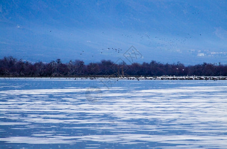水蓝色的形成克尔基尼湖上的鸟类高清图片