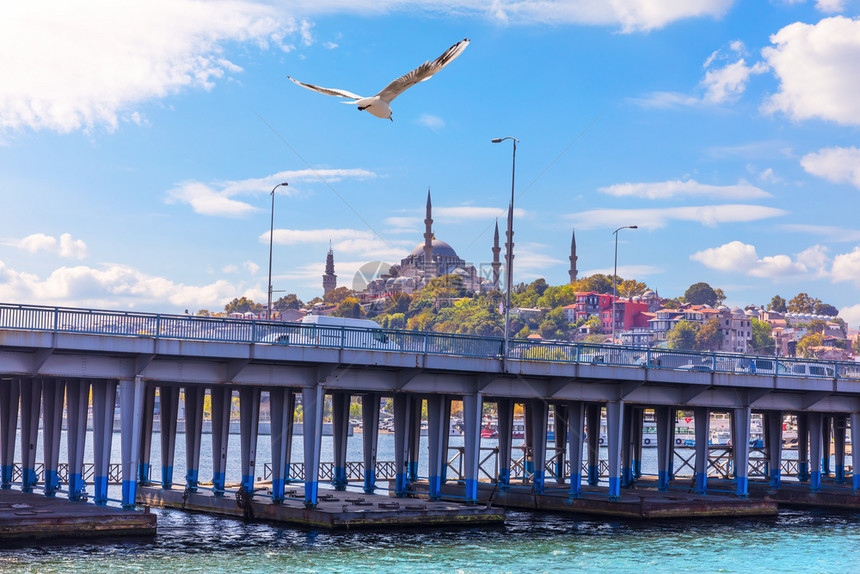 现代的苏莱曼尼耶一种架飞越Ataturk桥和Suleymaniye清真寺的鸟背景为伊斯坦布尔图片