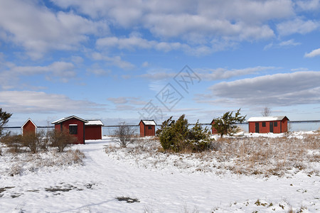 雪季的乡村图片