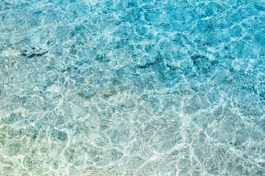 非洲盛宴热带海的清楚松绿水风景图片