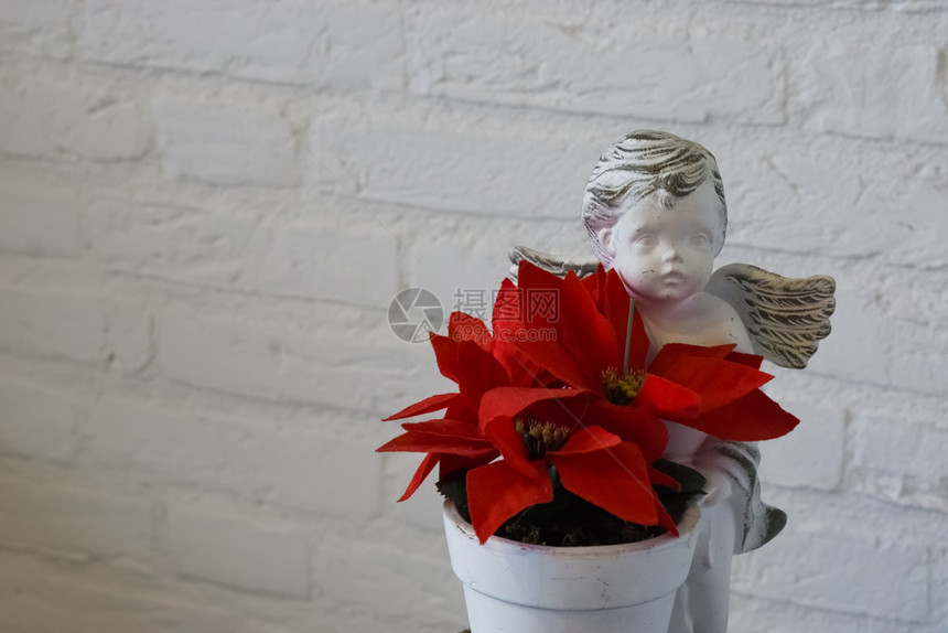 红色圣诞星花在盆里上面有天使雕像美丽的圣诞装饰与白砖墙背景隔开假期展示家图片