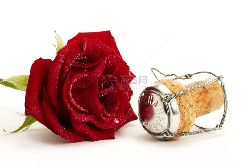 湿红玫瑰和软木的湿红玫瑰白色背景上的软木金属丝闪发光的说谎图片