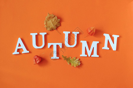 橘色背景前的秋天英文字母背景图片