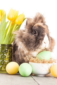 兔子和复活节彩蛋图片