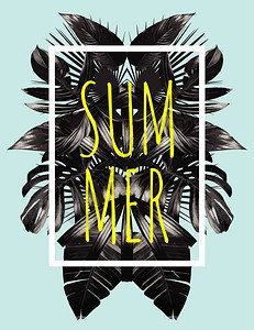 白色的阿罗哈插文口号夏天在方形白边框潮流热带风格艺术矢量黑镜棕榈叶印刷时装背景夏威夷背景图片
