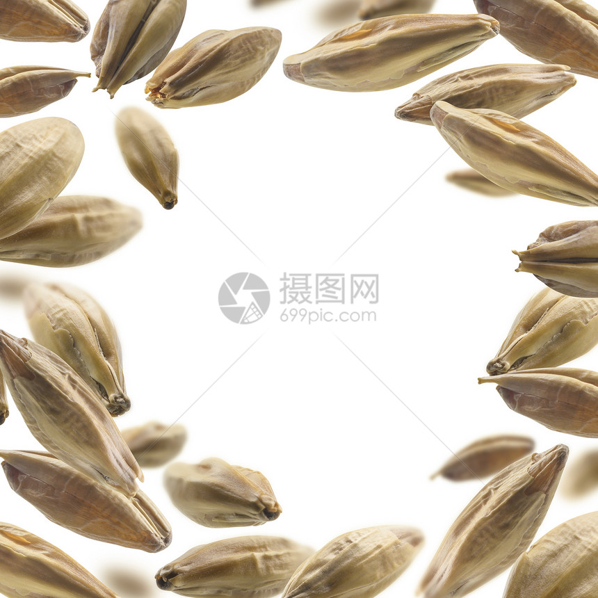大麦芽粒悬浮在白色背景上大麦芽粒悬浮在白色背景上戒指工艺一种图片