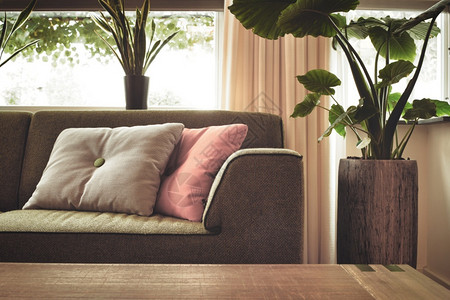 配有时尚沙发和彩色枕头的现代木制时尚客厅图片