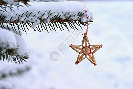 冬天雪景中的圣诞装饰图片