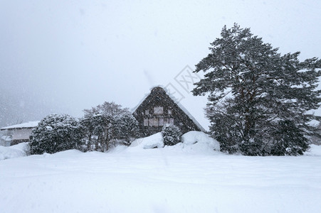 观光雪冬季白川越村教科文组织世界遗产址日本点亮图片