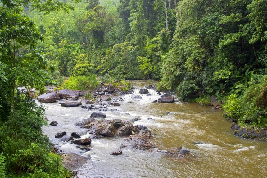 雨林河流辛哈拉贾公园雨林辛哈拉贾森保护区世界遗产地点教科文组织生物圈保护区斯里兰卡亚洲帕克热带生态系统图片
