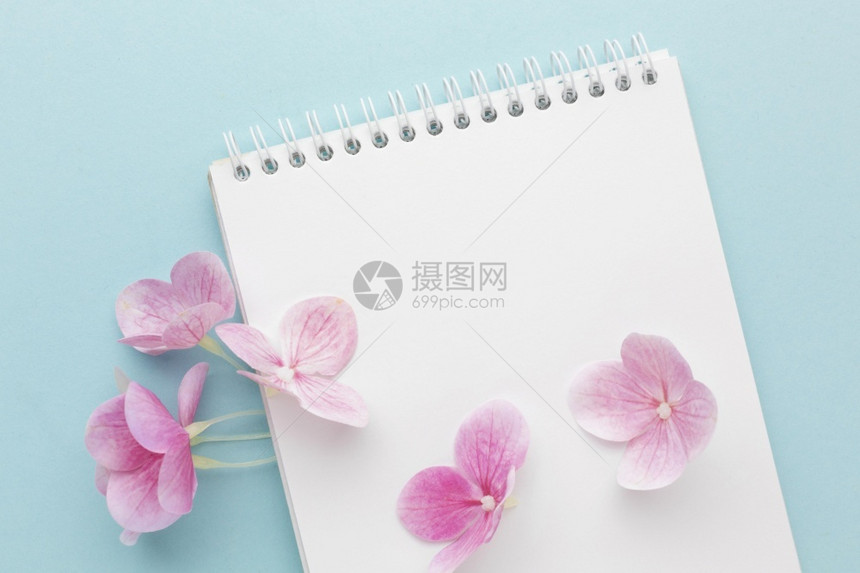 高架绣球花复制上方视图粉红花兰空白笔记本图片