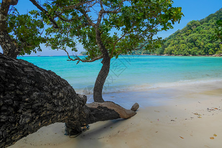 泰国素林岛热带屿海泰国苏林岛绿色蓝的假期图片
