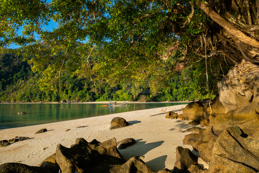 森林户外泰国素岛热带屿海泰国苏林岛美丽图片