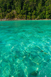 泰国素林岛热带屿海泰国苏林岛清除渔夫海洋图片