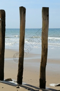 风阳光墙法国海岸作为断浪器的木电杆图片