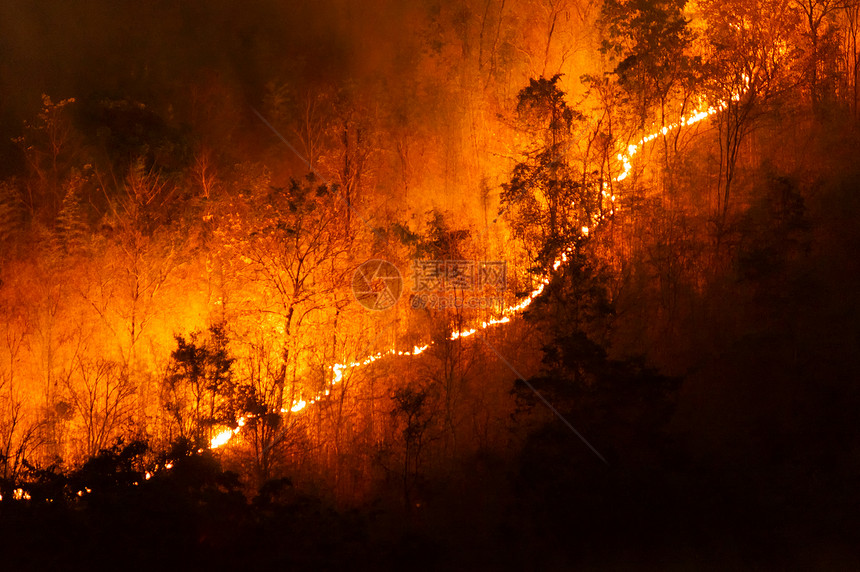 重点损害森林火灾夜间在泰国北部山上的森林中以红色和橙的焚烧野火树Soft焦点森林火灾野颜色图片