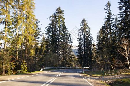 驾车旅行穿过森林的山中轨道波兰塔特拉山脉波兰塔特拉山脉抛光公园旅游图片