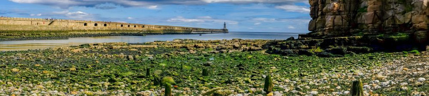 嘴岩石海鸥泰尼茅斯码头和灯塔周围美丽的全景联合王国泰尼茅斯图片