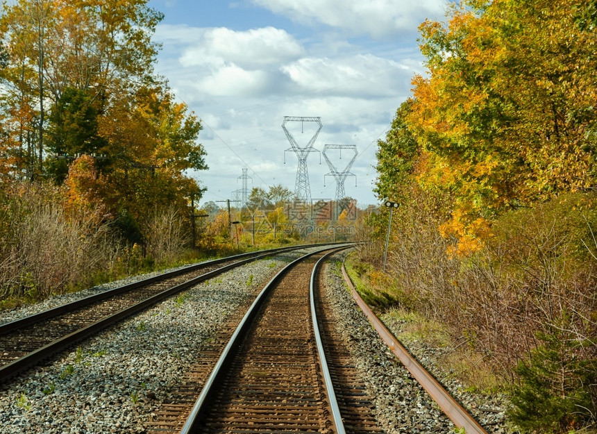 秋季日黄树的铁路轨迹横跨黄树秋天季节力量图片