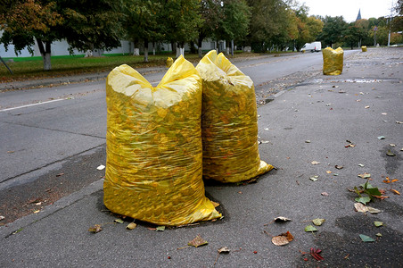 严禁乱扔购物秋天打扫街道装满落叶的黄色垃圾袋装满落叶的黄色垃圾袋秋天打扫街道倾倒整洁的背景