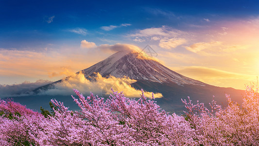 湖树日本春天的藤山和樱花春风景图片
