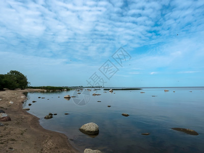 可爱的蓬松春天浅水岩焦温天然水库和鸟群背景图片