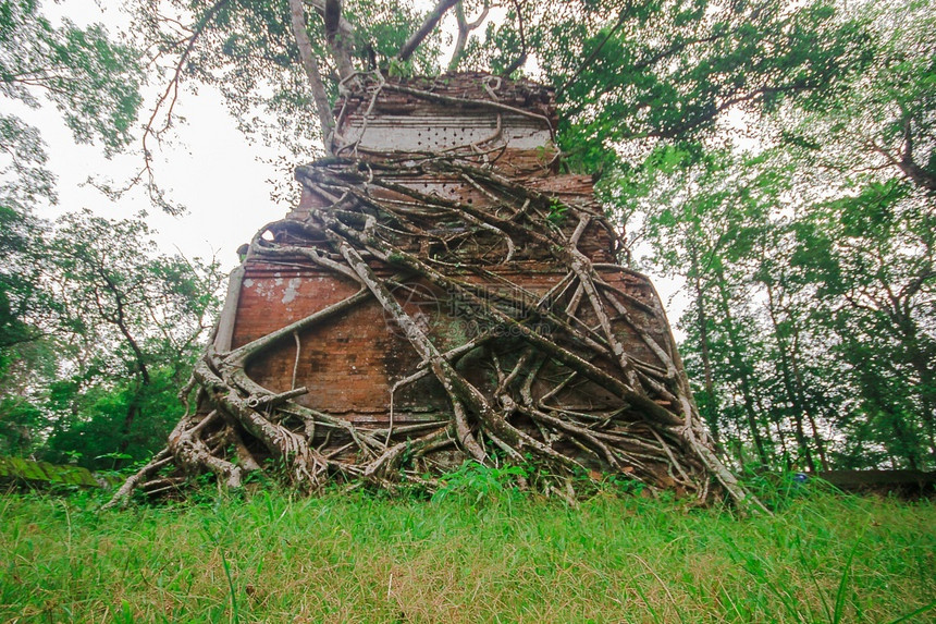 砖亚洲人优质的树根生长在柬埔寨古老的城堡里图片