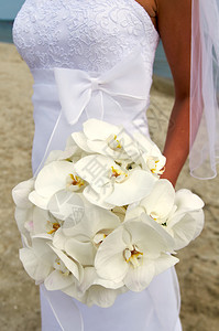 首饰草优雅新娘用玫瑰花盛满婚礼束图片