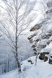 冬季森林下雪覆盖的岩石地面童话图片