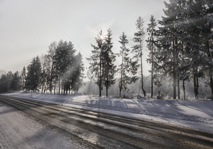 美丽的在冬季危险速度告知道路冬天阳光明媚的气树木覆盖着许多白色雪寒冬路面的阳光漂移农村图片