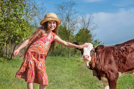 小女孩在田里打牛阳光明媚的白天小姑娘在田里打牛童年抚摸场地图片