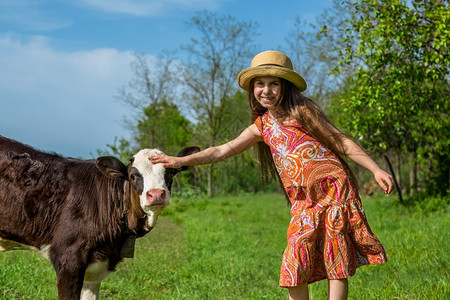 自然草年轻的小女孩在田里打牛阳光明媚的白天小姑娘在田里打牛图片