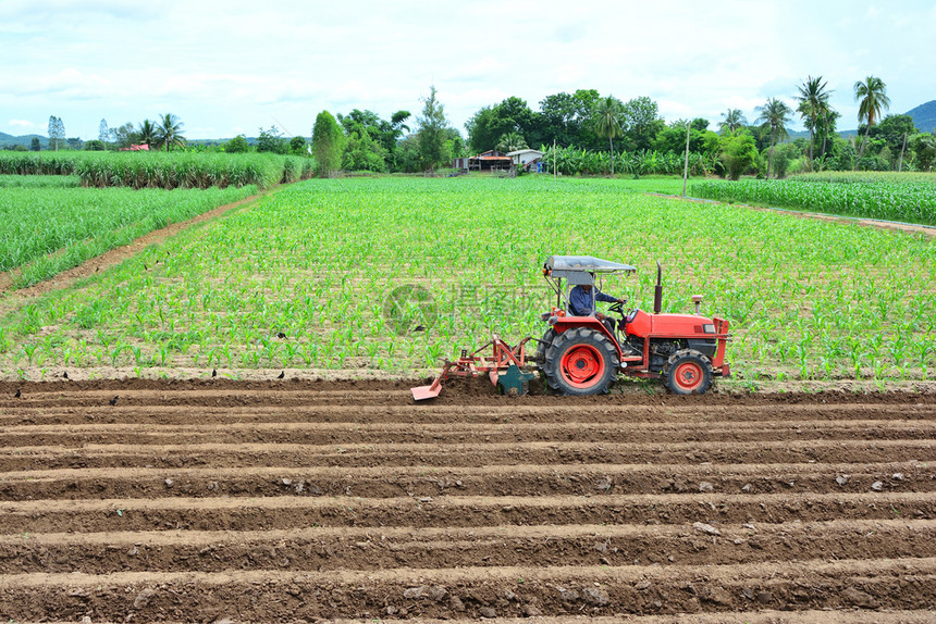 人们农业用红色拖拉机在耕种土地的农民春天为了图片