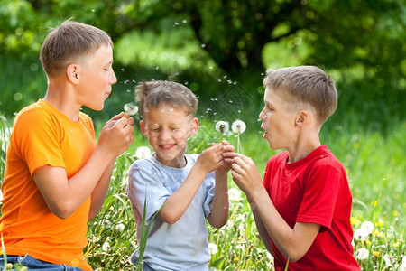 三个男孩大笑吹响花朵种子俏皮梦图片