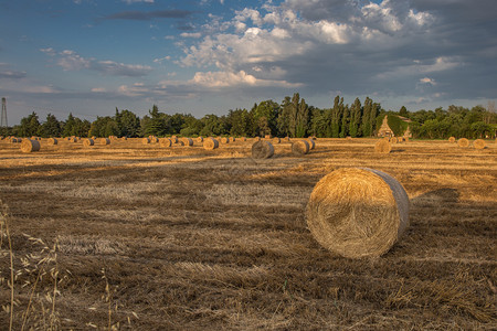 小麦收成农场美丽的乡村景色环绕海湾在收割田地和有云的蓝天空中图片