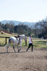 关怀后部男一个秃头牛仔骑着白马走路的背影图片
