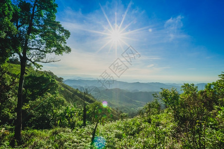 植物雄伟自然在山风景的日出图片