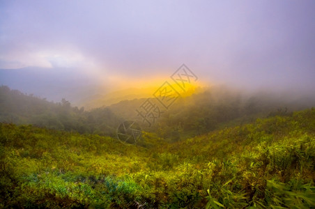 薄雾夏天在山风景的日出雨图片