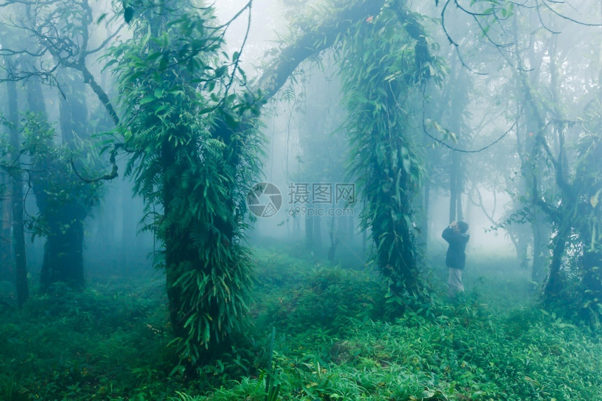 一个男人在湿季勘探中观看纯热带雨林中的望远镜鸟类环境概念是Soft关注树木oft聚焦于树木花的新鲜湿图片
