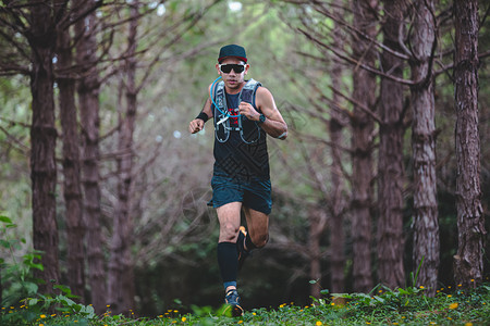 竞技骑着运动鞋在森林中跑步的脚下穿着运动鞋在森林中奔跑腿赛者图片